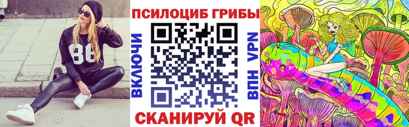 Псилоцибиновые грибы Psilocybe  как найти закладки  Белебей 