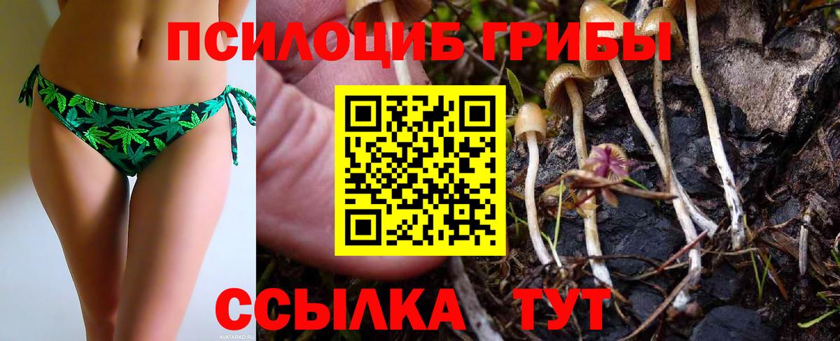 Галлюциногенные грибы Psilocybine cubensis  наркота  Белебей  Вход с VPN 