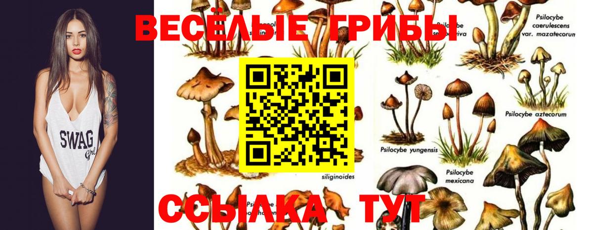 Псилоцибиновые грибы GOLDEN TEACHER Белебей