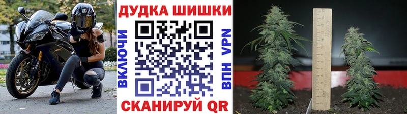 Бошки Шишки White Widow  Белебей 